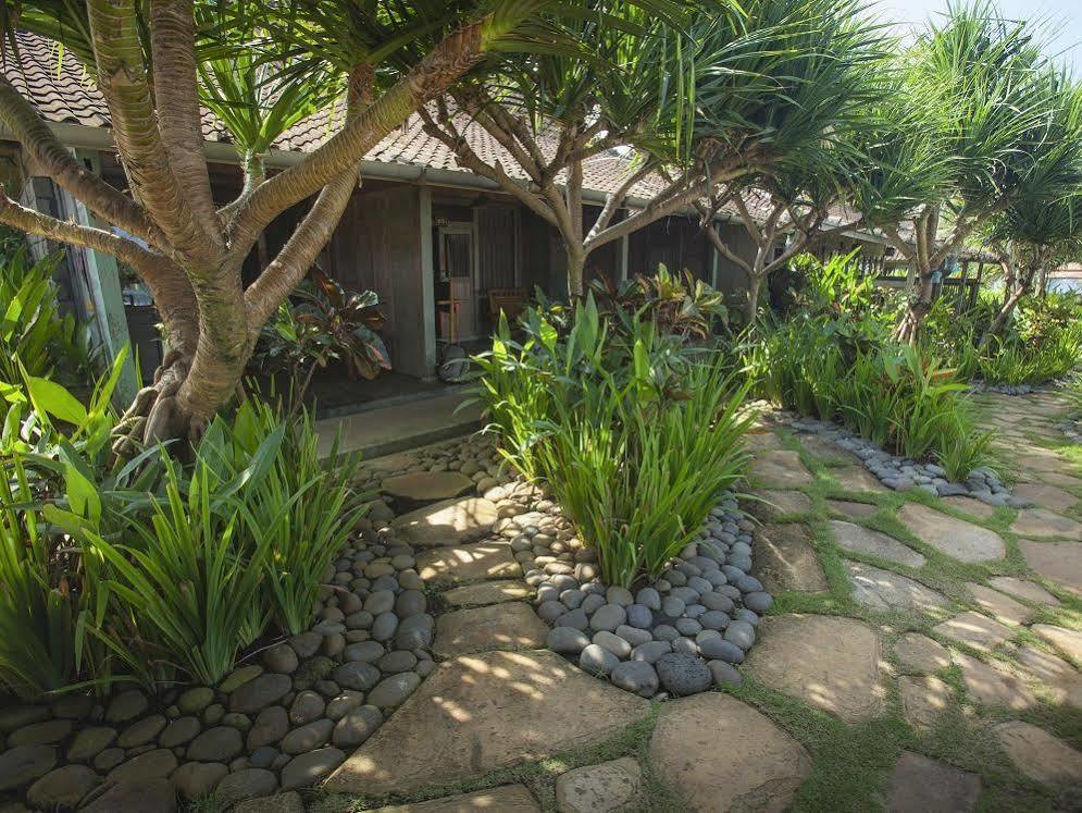 Pondok Pitaya Balian Hotel Selemadeg  Екстер'єр фото